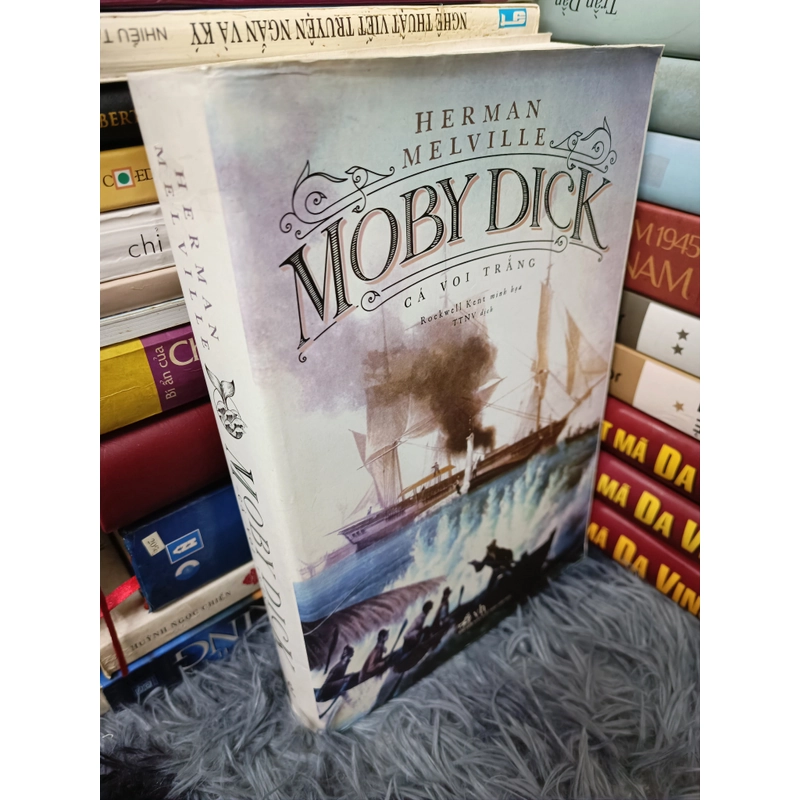 Cá voi trắng Moby Dick 508801