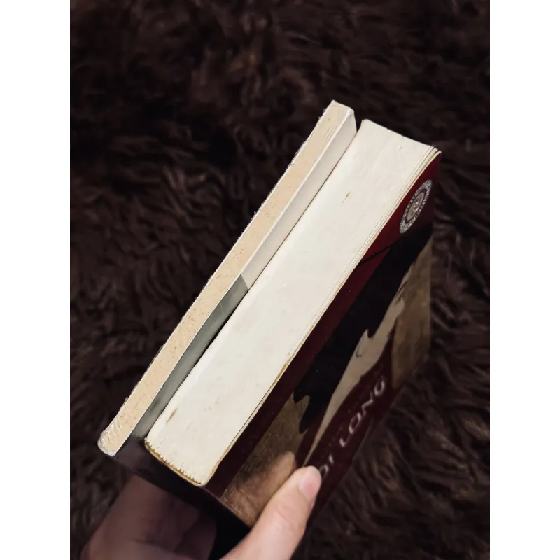 Combo 2c Natsume Soseki 992300