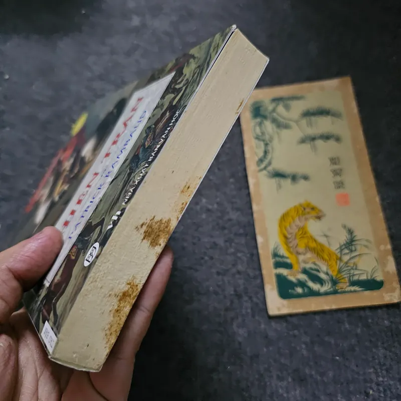 Chiến trận - Patrick Rambaud 733983