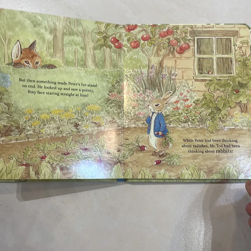 NGOẠI VĂN sách tiếng anh trẻ em PETER RABBIT - a peep-inside Tale - truyện kinh điển hay 1027884