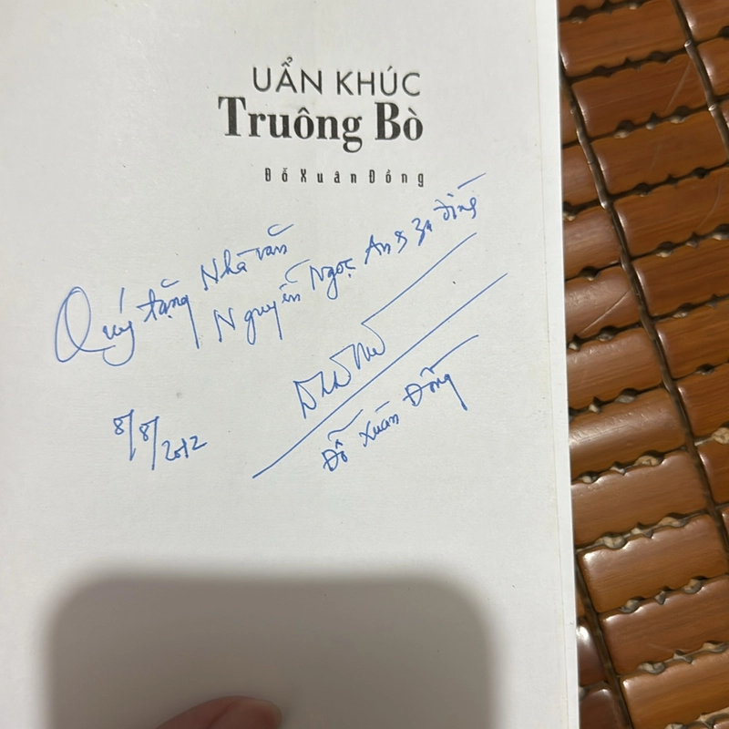 Uẩn Khúc Truông Bò - Đỗ Xuân Đồng 527031