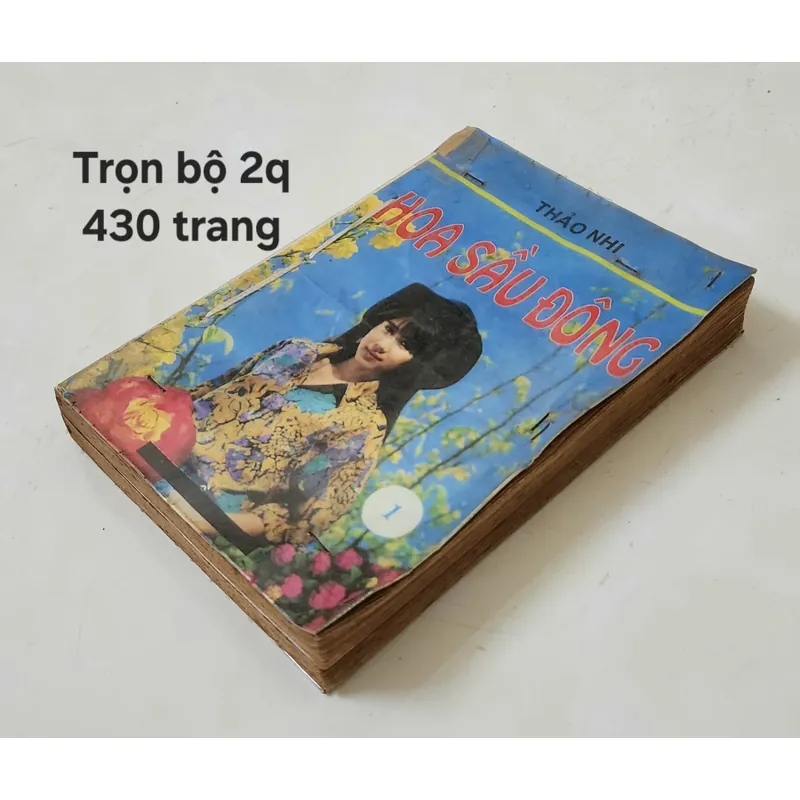 HOA SẦU ĐÔNG, tiểu thuyết lãng mạn Việt Nam của tác giả Thảo Nhi 703540