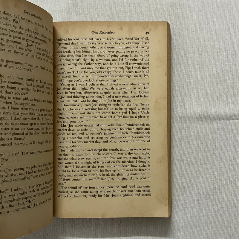 Great Expectations - Charles Dickens 935176