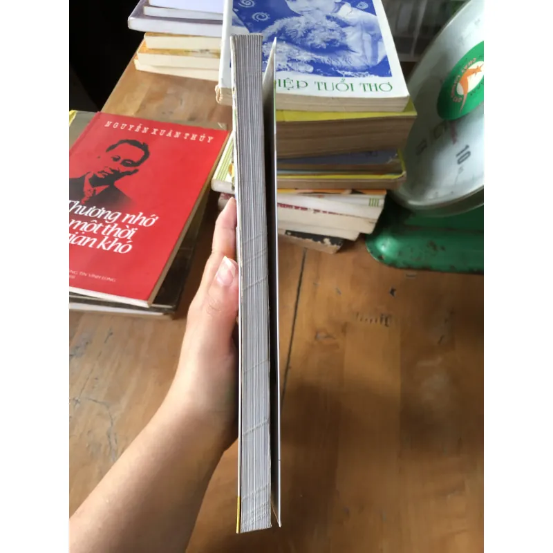 Cẩm nang bonsai 973871