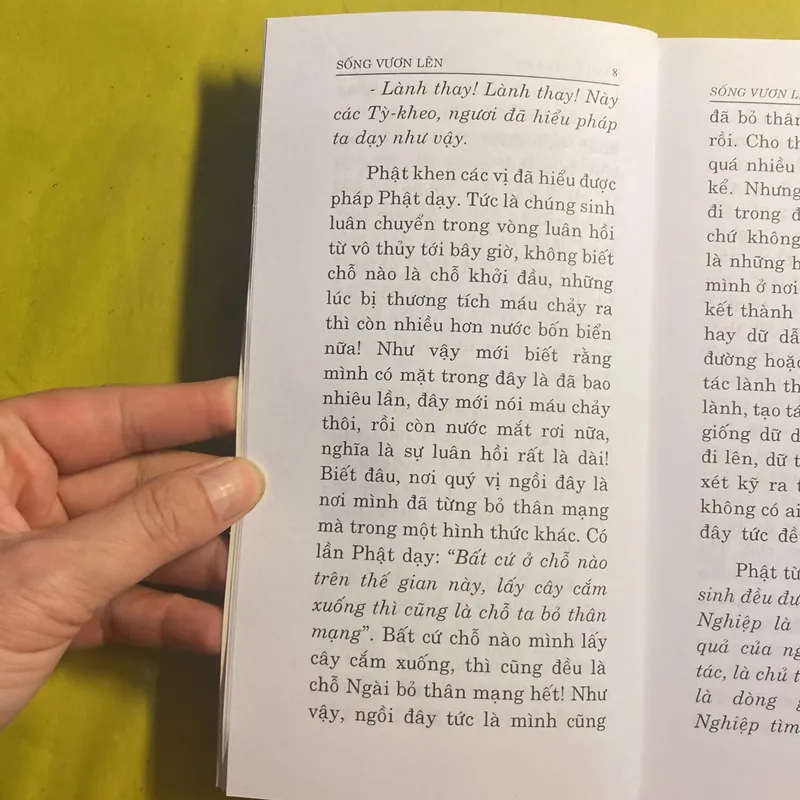Sống Vươn Lên - Thích Thông Phương - Thiền Viện Trúc Lâm 680982