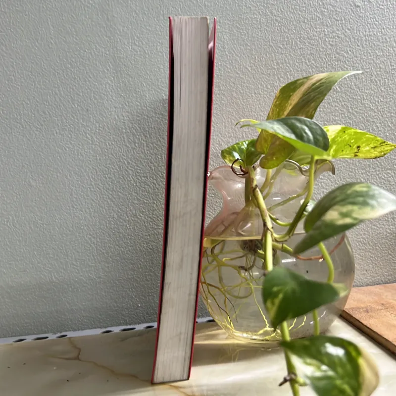 Thuyết phục - James Borg 750759