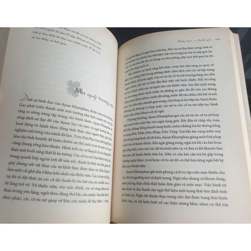 Hành Trình Tới Giấc Ngỡ Và Giải Thoát - Bhikkhu Silaratano 690837