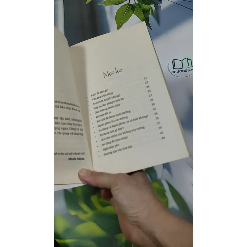 Làm Như Chơi - Minh Niệm 787097