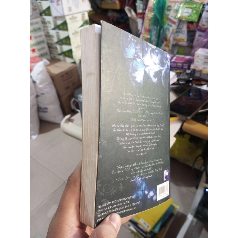 Bùa Mê - Aprilynne Pike 2010 mới 80% ố Tiểu Thuyết HCM1004 1007722