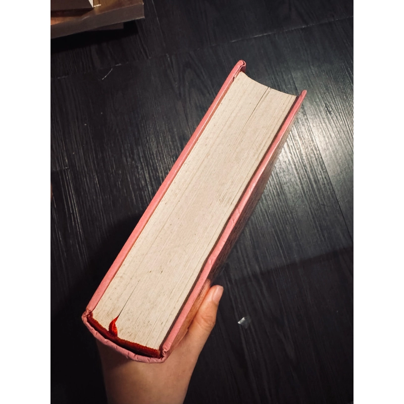Tiếng chim hót trong bụi mận gai 477333