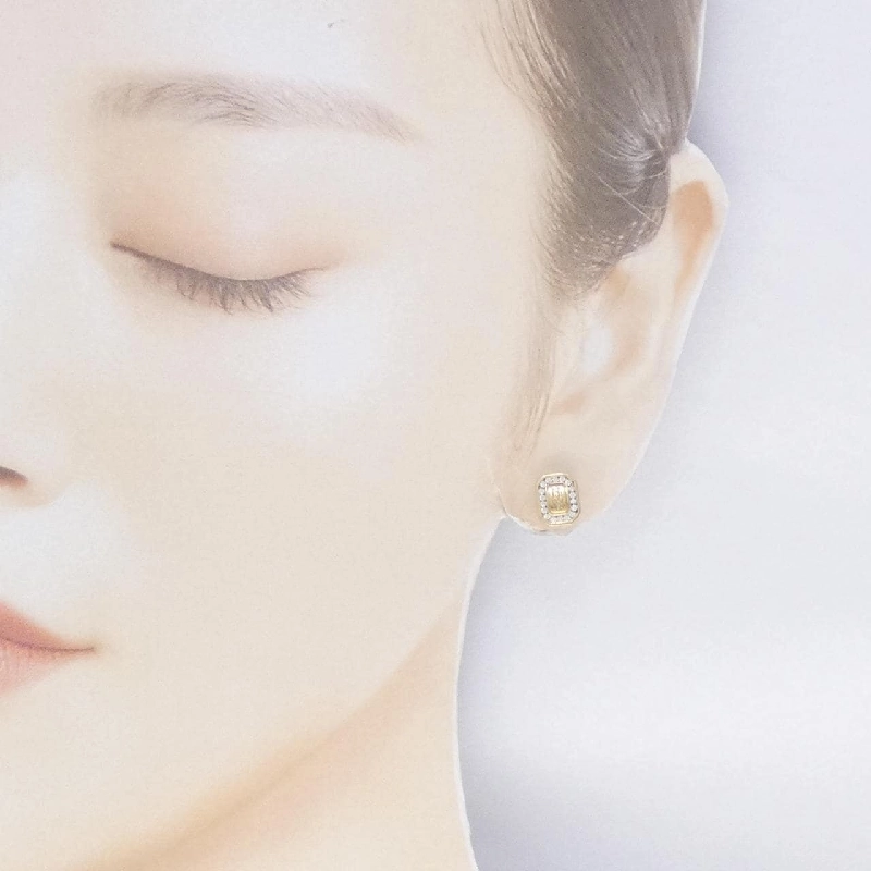 Khuyên tai logo HW Harry Winston - Hàng hiệu Authentic 844034