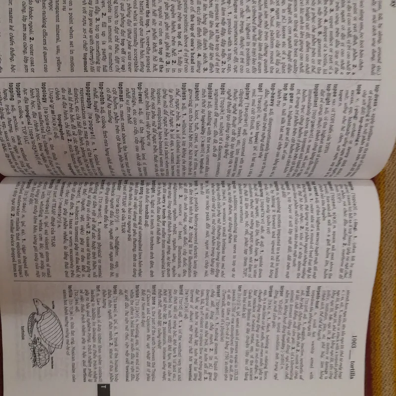 Từ điển Anh Anh Việt 571402