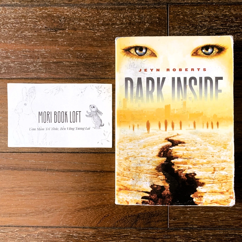 Sách ngoại văn Dark Inside – Jeyn Roberts, Used, trình độ B1-B2 498812