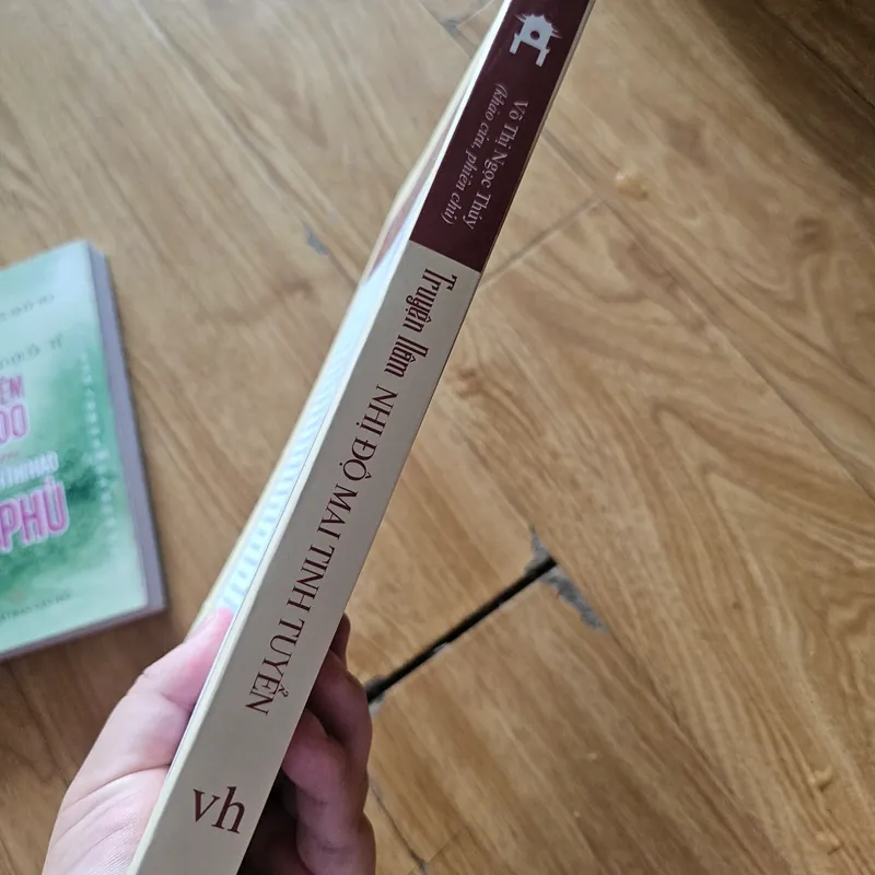 Truyện nôm, Nhị độ mai tinh tuyển
100k (bìa 200k) 561296