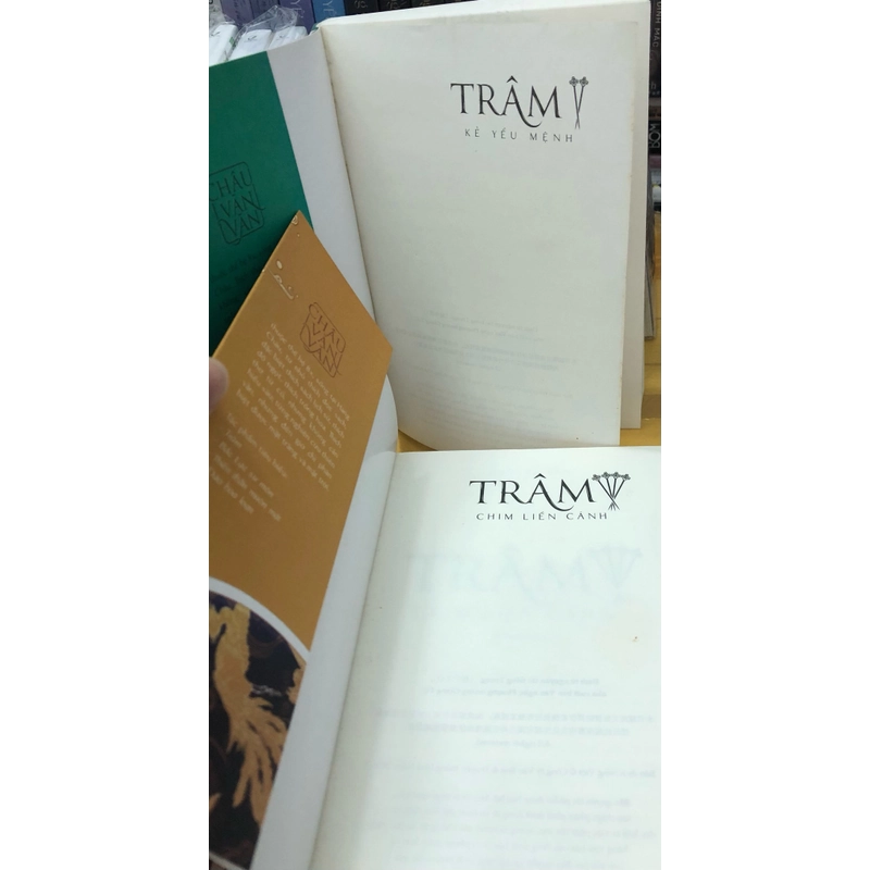Trâm - Châu Văn Văn 502157