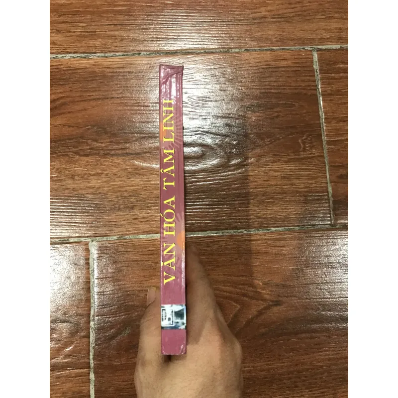 Văn hoá tâm linh -Nguyễn Đăng Duy (8) 1042780