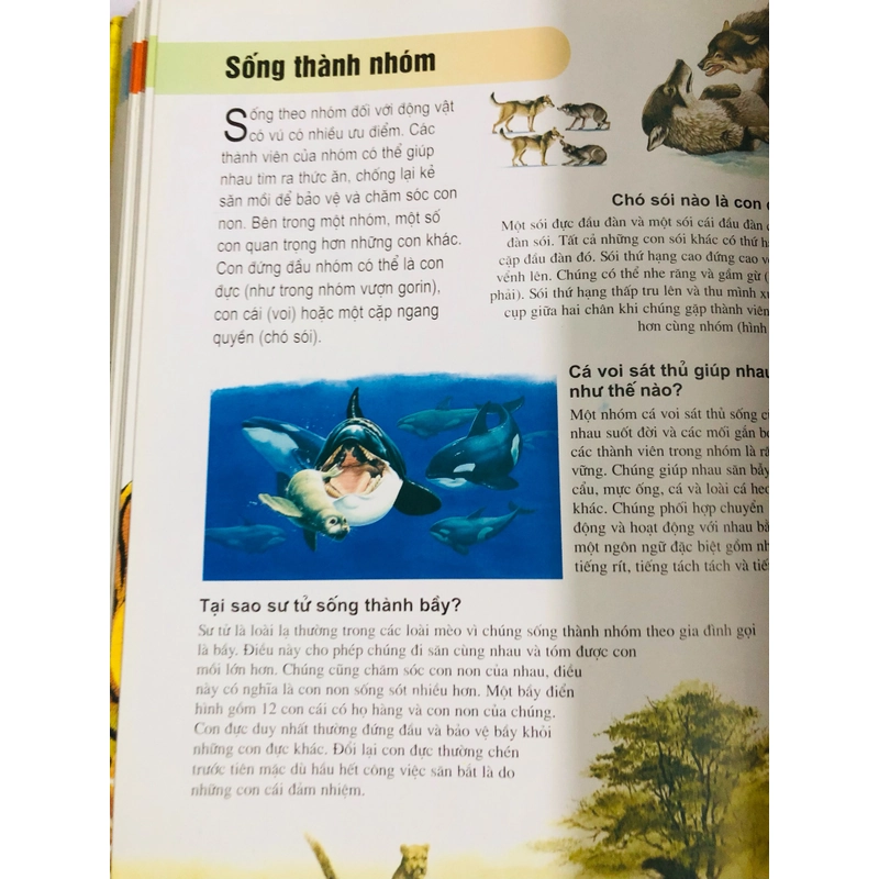 📘 BÁCH KHOA TRI THỨC CHO TRẺ EM 482491