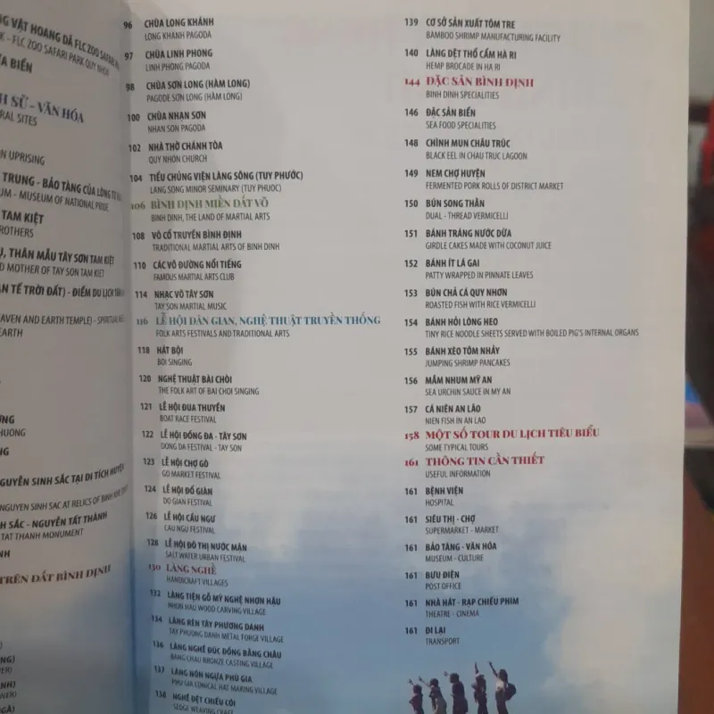 Du lịch QUI NHƠN BÌNH ĐỊNH - visiting Quy Nhon Binh Dinh 1029715