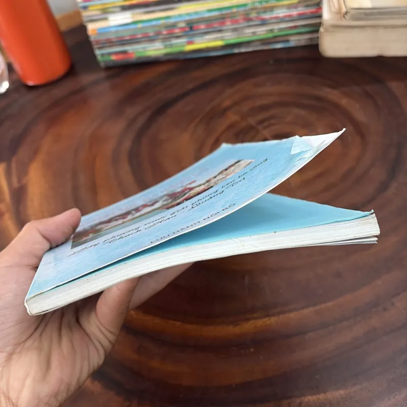 II Tựa Sách: Quảng Trị • Đà Nẵng Là… - Nhiều Tác Giả 999236