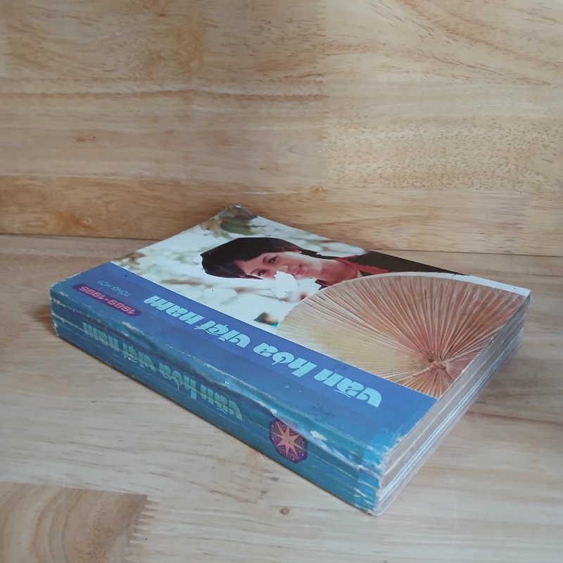 Văn Hóa Việt Nam Tổng Hợp 1989 ▪︎ 1995 - Trần Độ chủ biên 450449