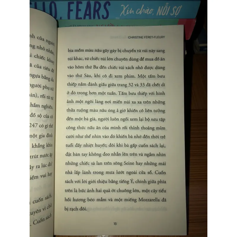 Juliette và tiệm sách bí ẩn ở Paris - Christine Féret-Fleury 1000545