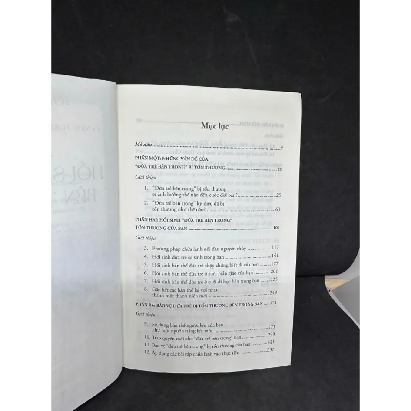 [Phiên Chợ Sách Cũ] Hồi Sinh Đứa Trẻ Bên Trong Bạn, 2025 - John Bradshaw H1809 SBM 599554