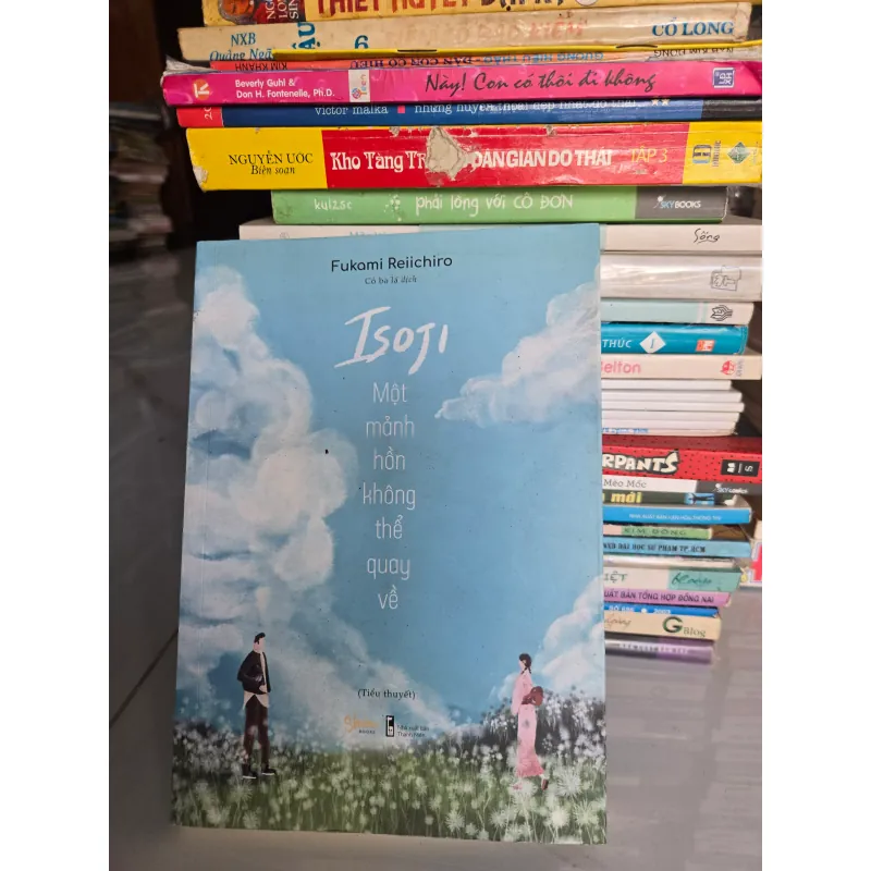 Một mảnh hồn không thể quay về  968675