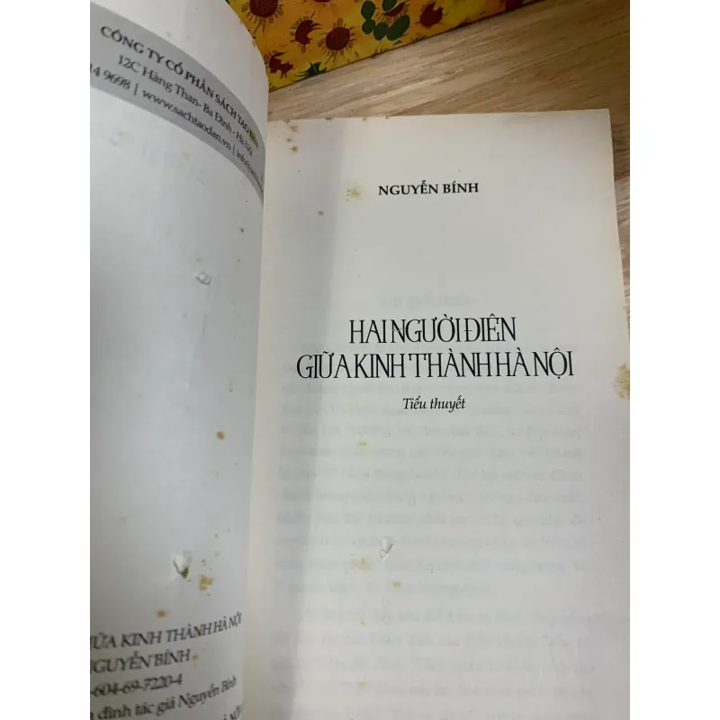 Hai Người Điên Giữa Kinh Thành Hà Nội - Nguyễn Bính 926300