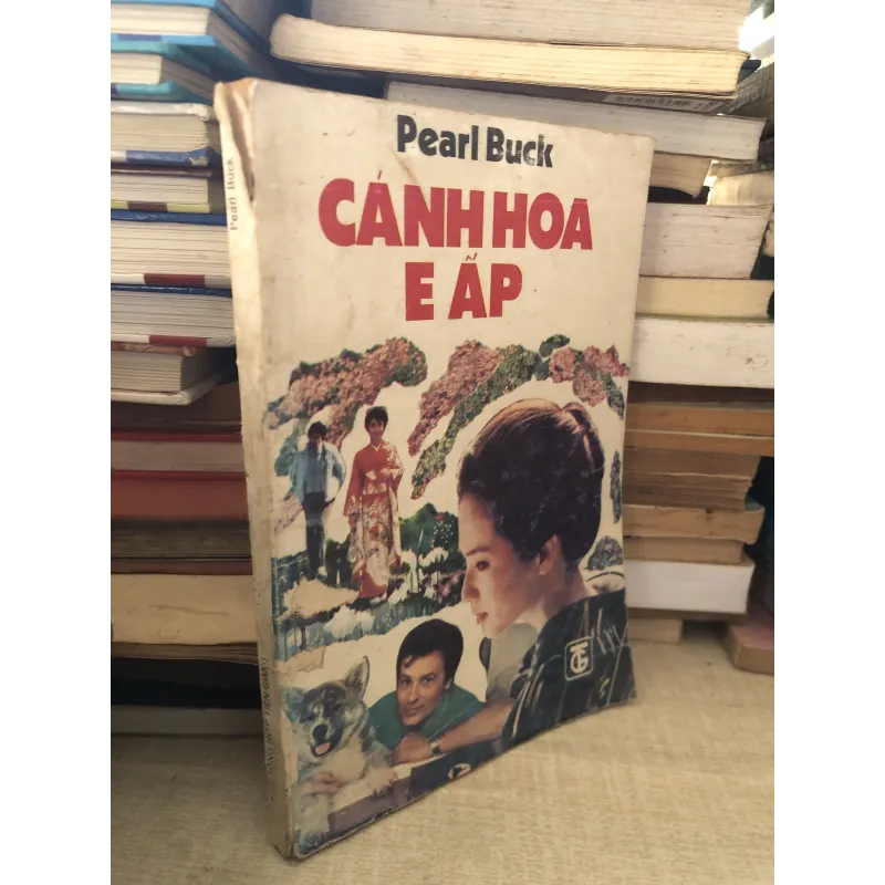 Cánh hoa e ấp  995292