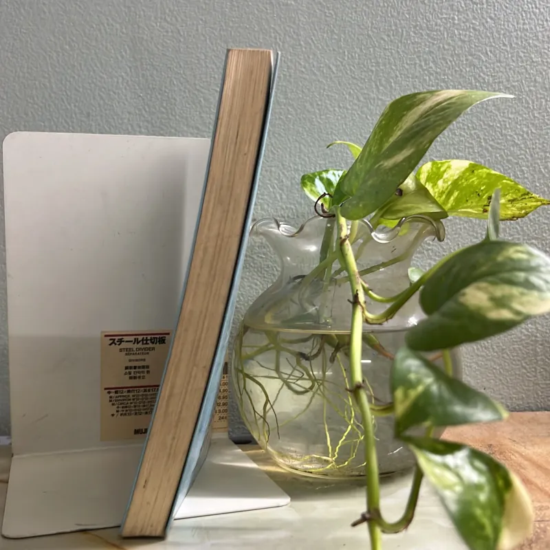 Một lít nước mắt 752126