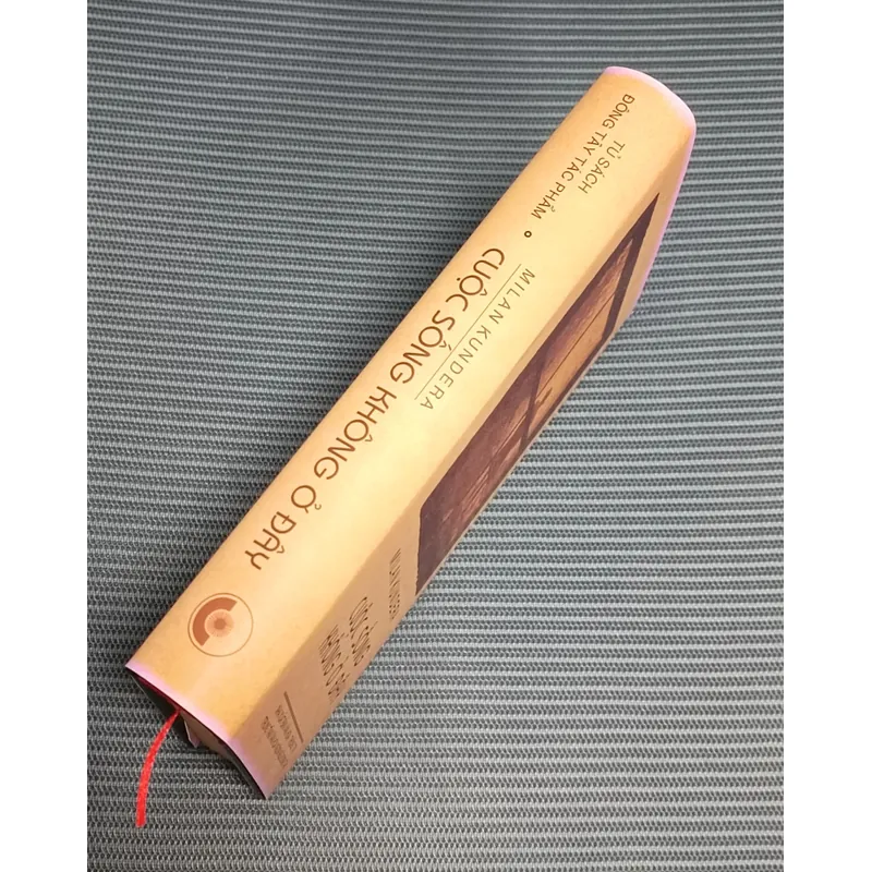 Cuộc sống không ở đây (Milan Kundera) 734653