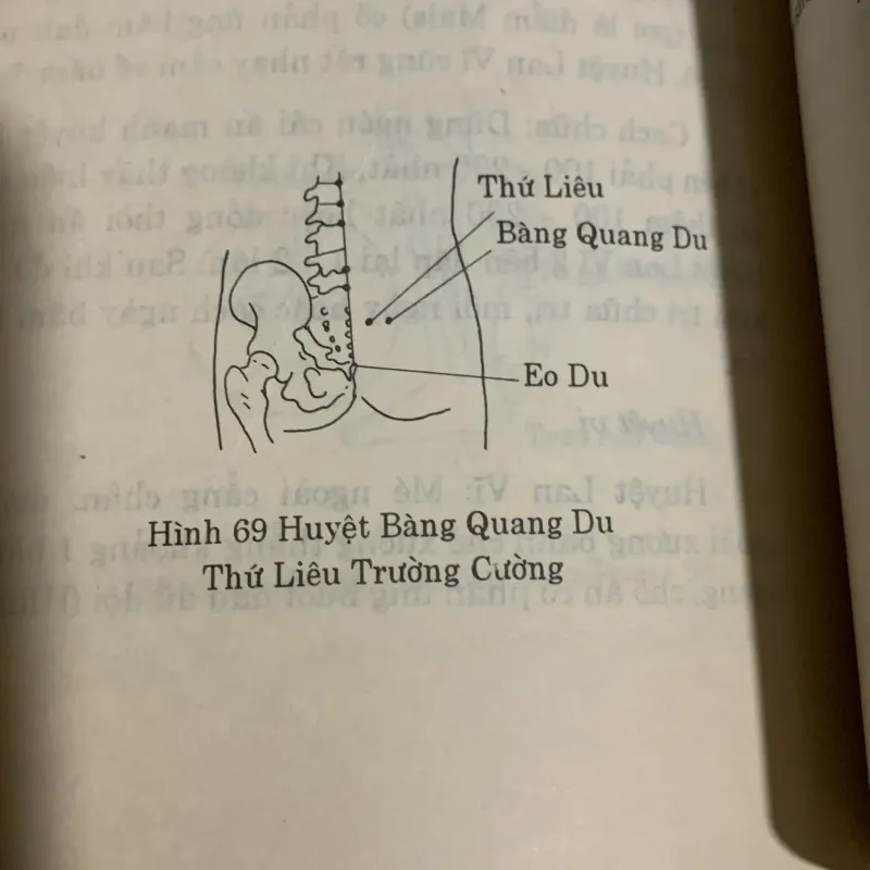 Liệu pháp bấm huyệt, NXB Y học, in năm 1998 936930