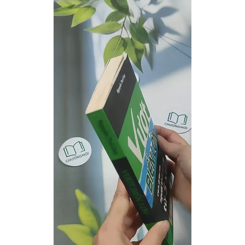 Vượt biển lớn: Cách đi lên của người khởi nghiệp từ 5 xu - Nguyễn Thái Duy 688542