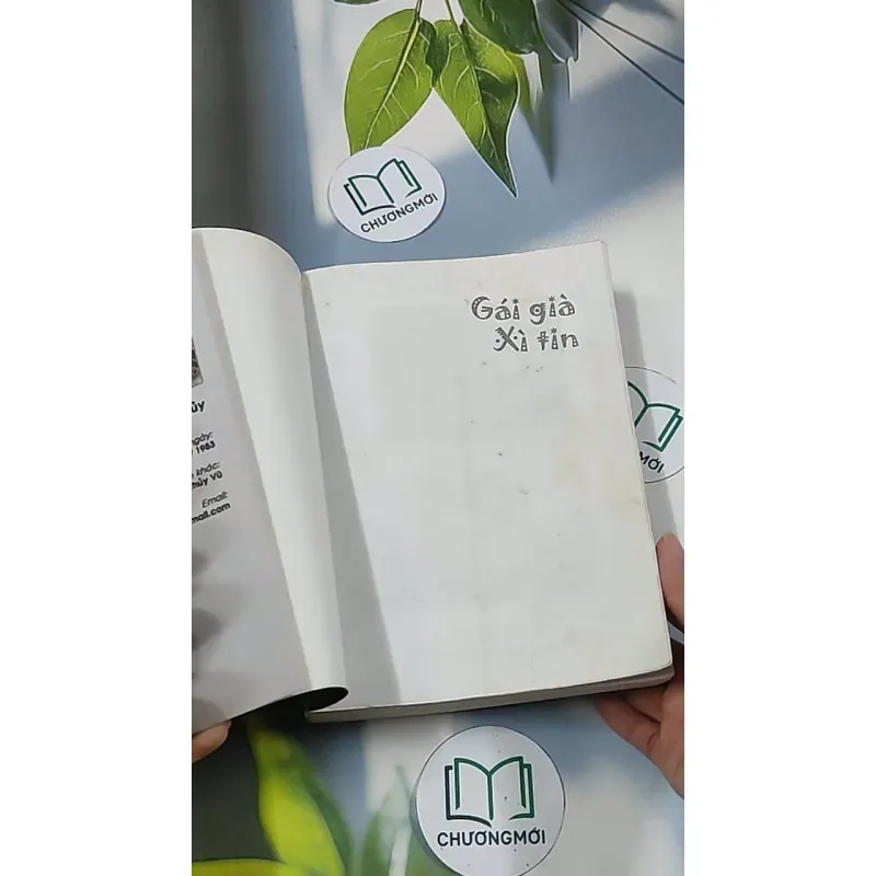 Gái già xì tin - Nguyễn Thu Thủy 688691