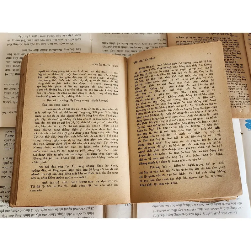 Tiểu thuyết YÊU NHƯ LÀ SỐNG của nhà văn Nguyễn Mạnh Tuấn 703946