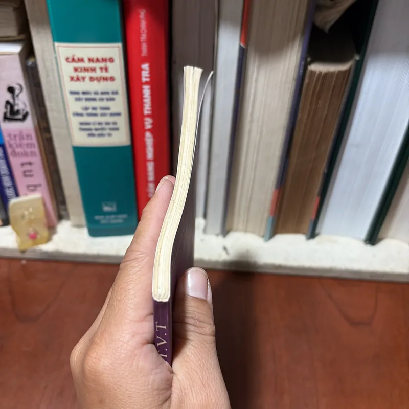 II Nhạc Cụ, Âm Nhạc: Tự Học Sáo _ Độc Tấu Đệm Thở (Tập 1) - Sơn Hồng Vỹ (Vi Sơn) - 2004 727051