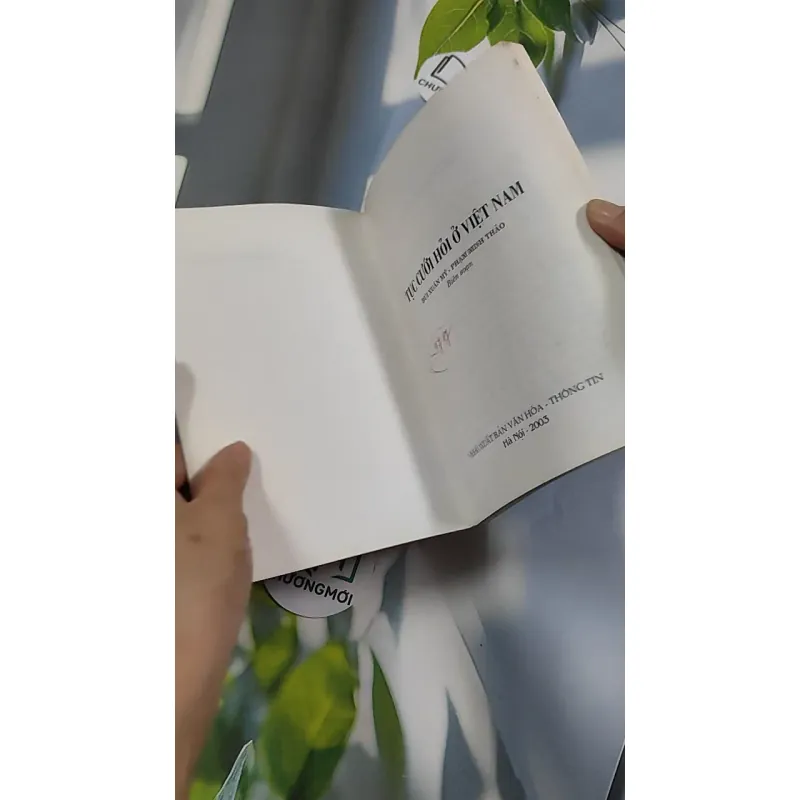 Tục Cưới Hỏi Ở Việt Nam - Bùi Xuân Mỹ - Phạm Minh Thảo 776168