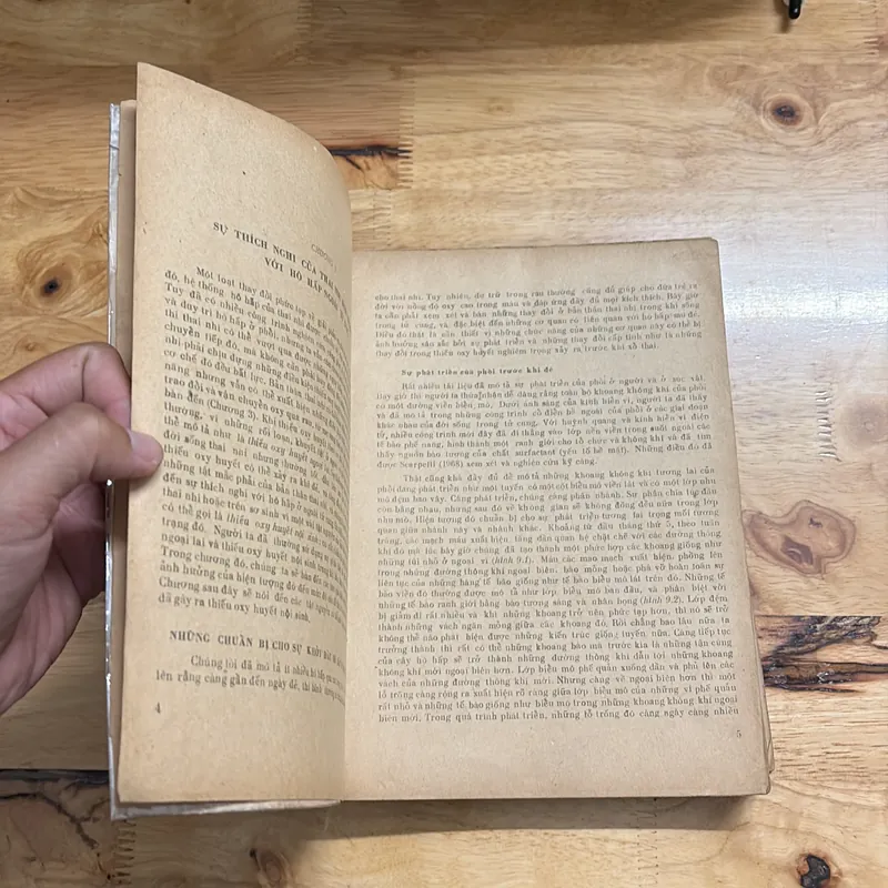 II Sách Y: Bệnh Học _ Bào Thai Và Sơ Sinh (Tập 2) - J. EDGAR MORISON - 1979 682253