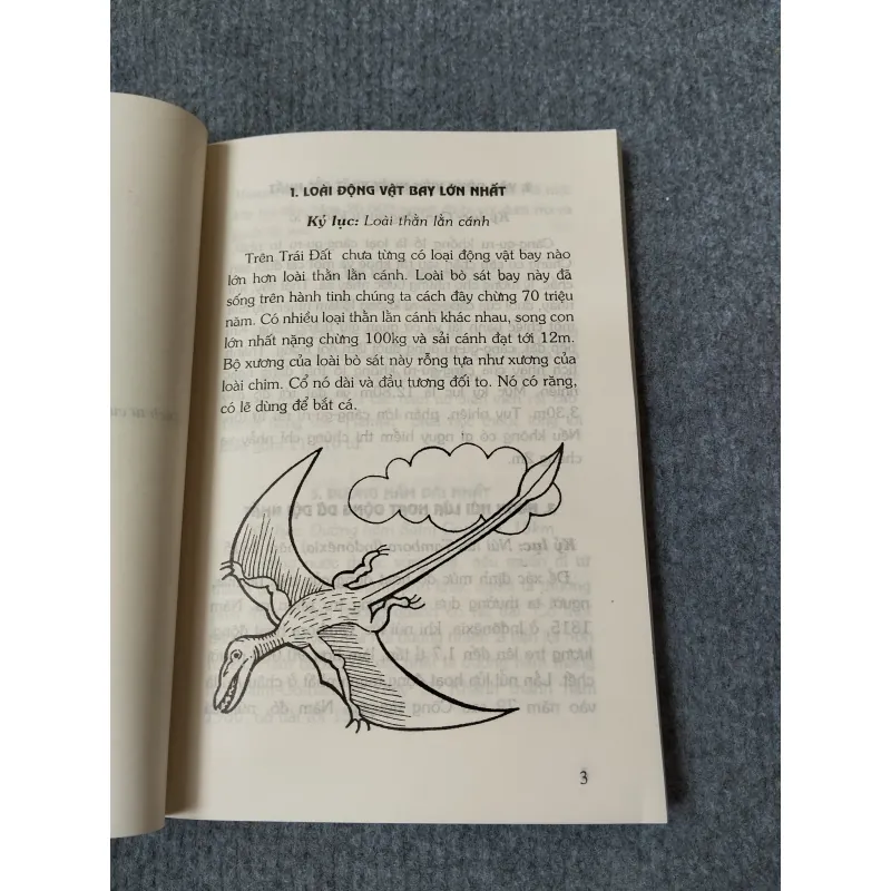 365 KỶ LỤC KỲ LẠ NHẤT 720714