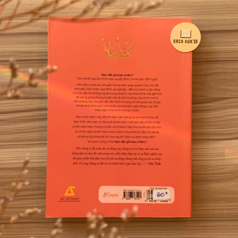 Cuốn sách Bạn Đắt Giá Bao Nhiêu? – Vãn Tình (Mỹ Linh dịch) 540914