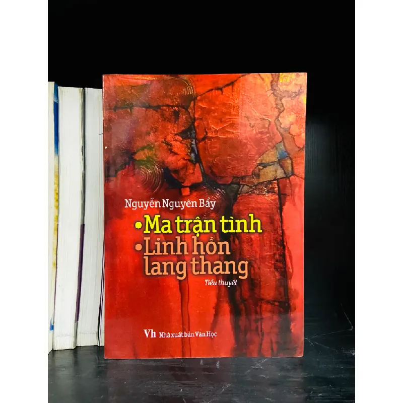 Ma trận tình, Nguyên hồn lang thang 555021
