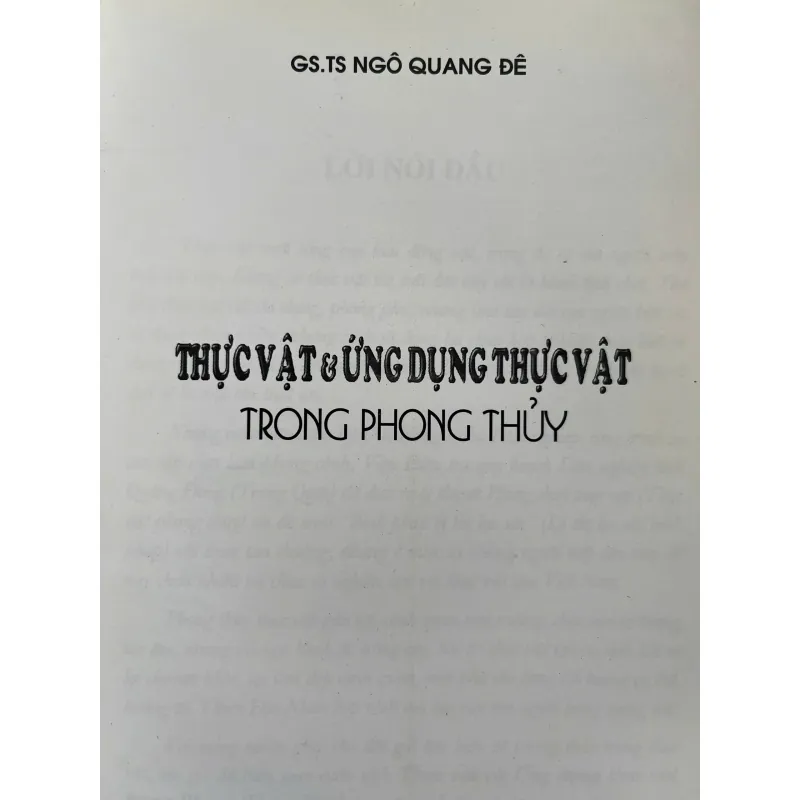 THỰC VẬT VÀ ỨNG DỤNG THỰC VẬT TRONG PHONG THỦY 759928