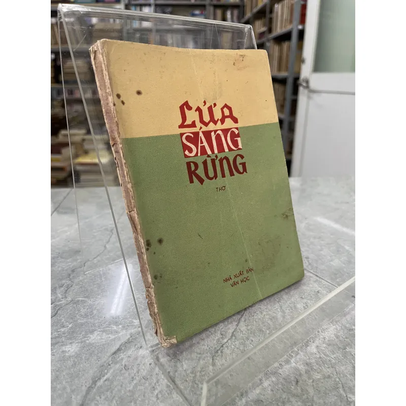 LỬA SÁNG RỪNG 704016