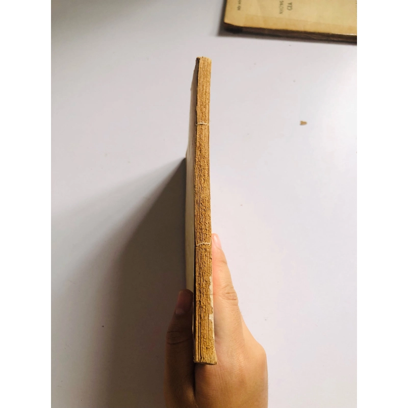 CÁI DŨNG CỦA THÁNH NHÂN  528048