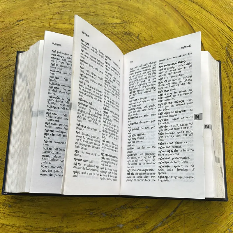TỪ ĐIỂN VIỆT - ANH - BÙI PHỤNG 689628
