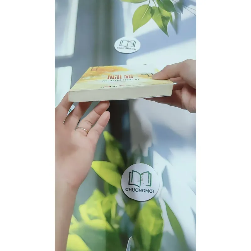 Bến Xe - Thương Thái Vi 744709