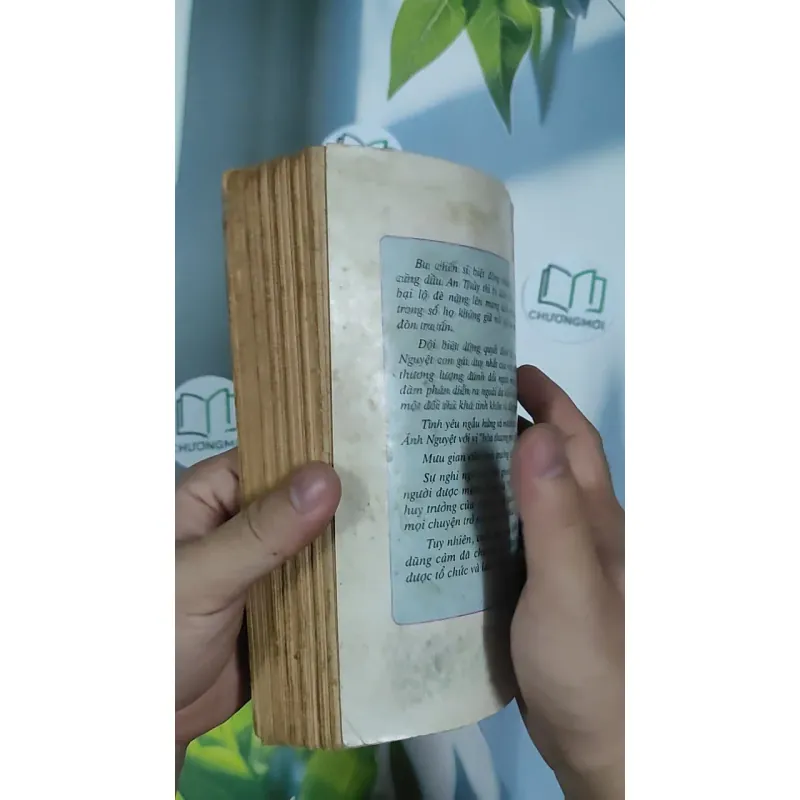 [XƯA] Chạy Trốn Tình Yêu (1993) - Triệu Huấn 798512