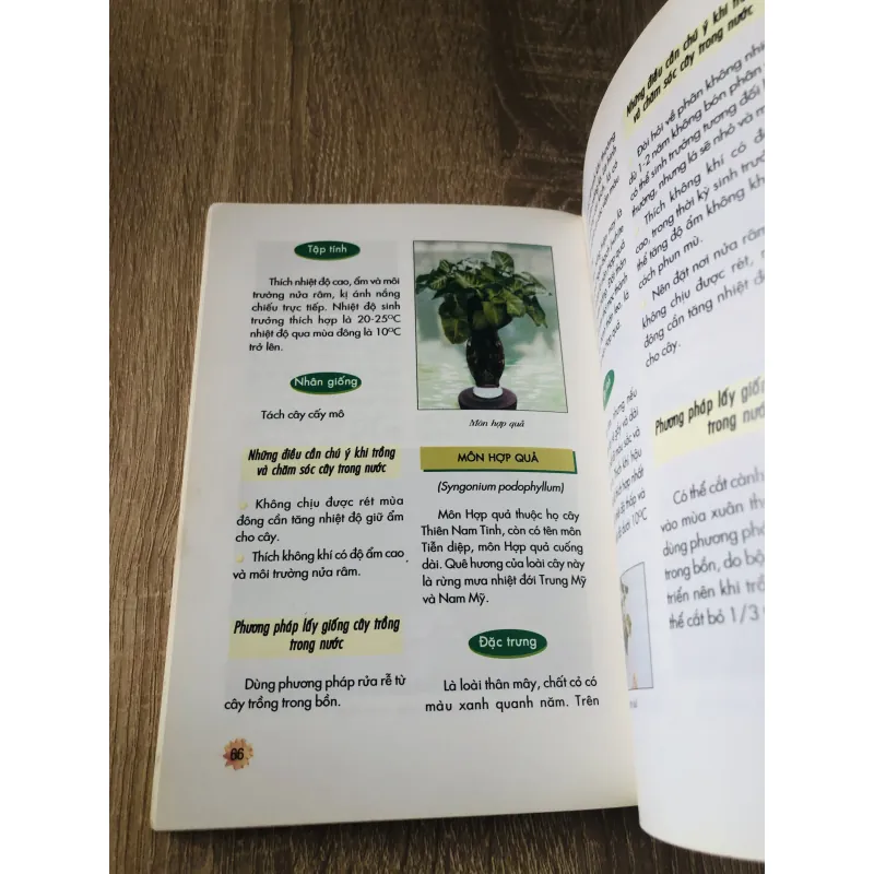 KỸ THUẬT TRỒNG HOA VÀ CÂY LÁ TRONG NƯỚC 1007309