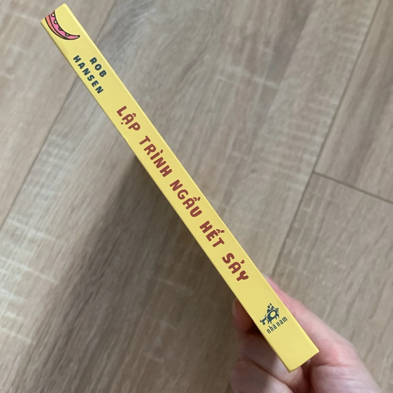 Lập trình ngầu hết sảy - Rob Hansen 497056