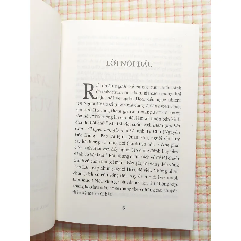 NHỮNG MŨI TÊN ĐỒNG VÙNG CHỢ LỚN • Truyện Ký • Mã Thiện Đồng 753861